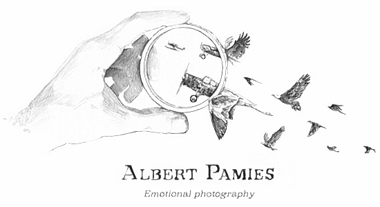 Albert Pamies Fotógrafo de Bodas