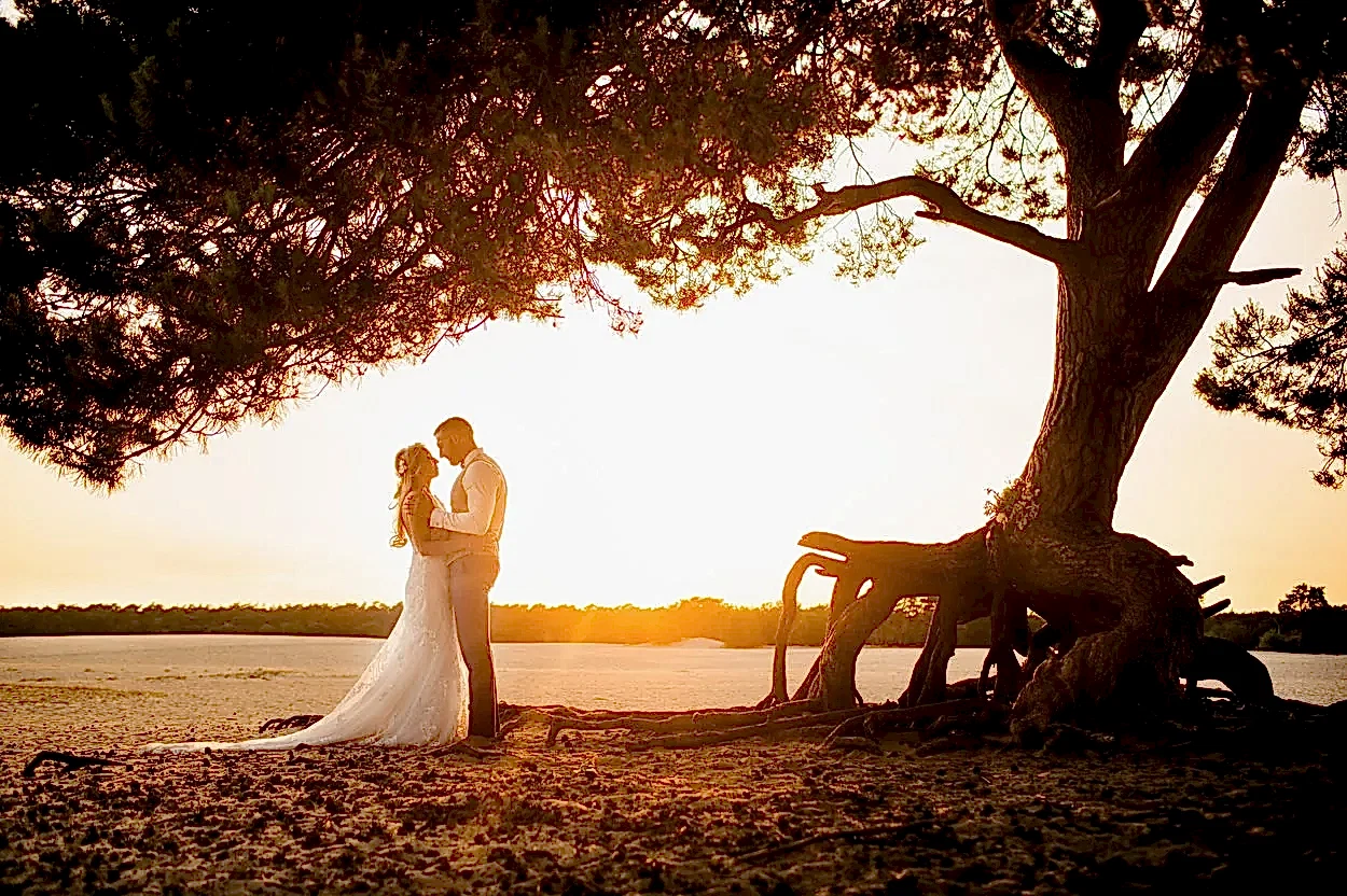 Postboda en Holanda